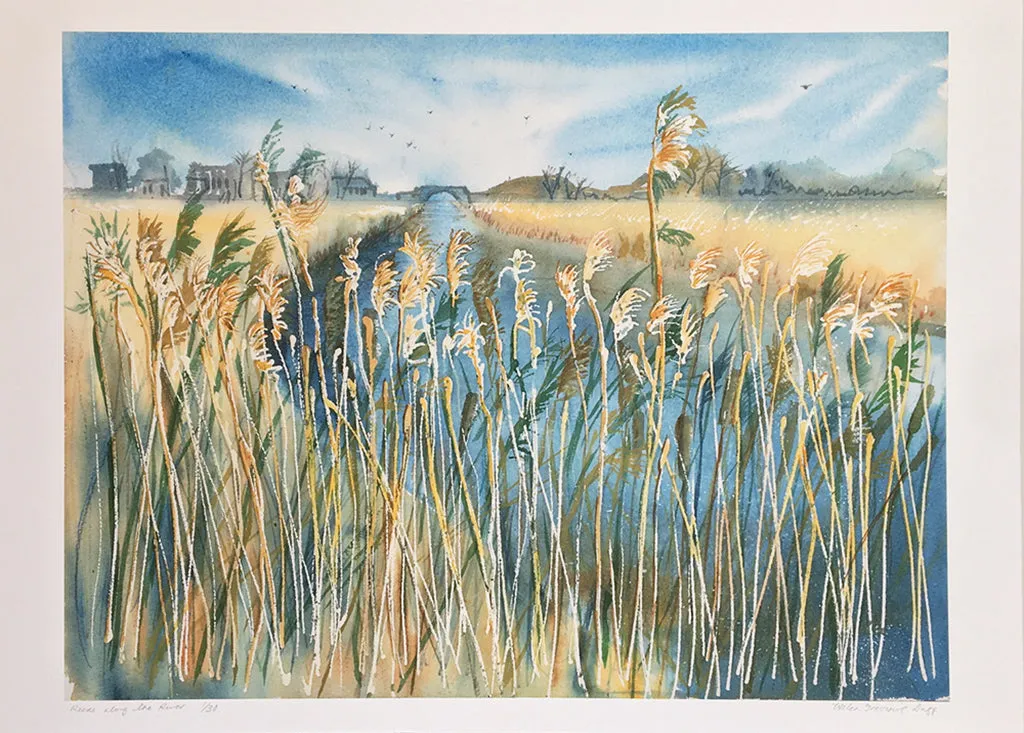 Reeds Along The River by Helen Trevisiol Duff