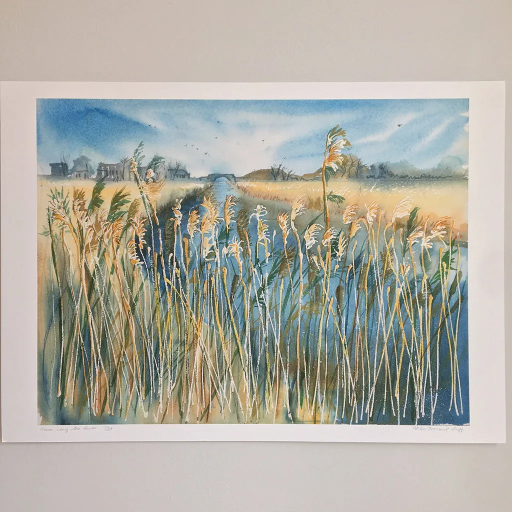 Reeds Along The River by Helen Trevisiol Duff