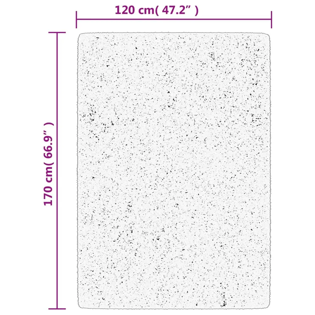 Rug ISTAN High Pile Shiny Look Beige 120x170 cm